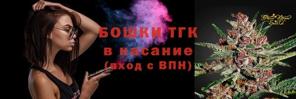 прущие грибы Балабаново