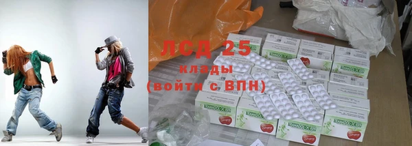 прущие грибы Балабаново