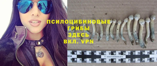 прущие грибы Балабаново