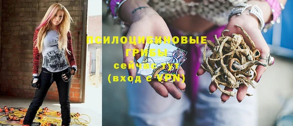 прущие грибы Балабаново