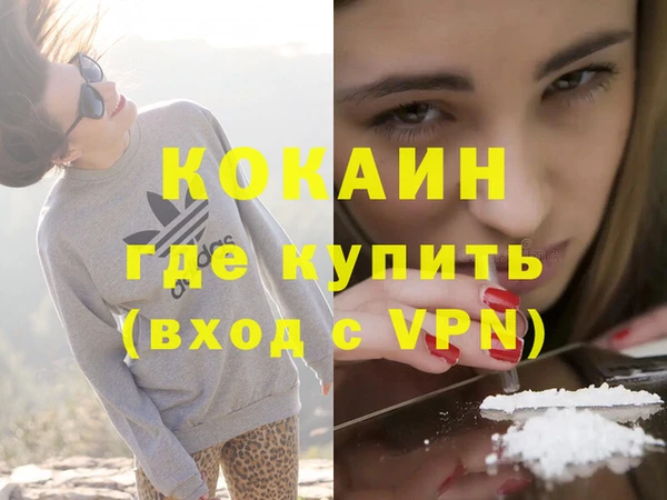 прущие грибы Балабаново
