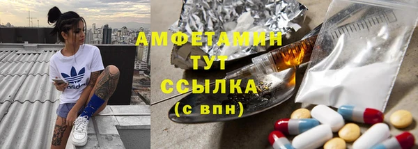 прущие грибы Балабаново