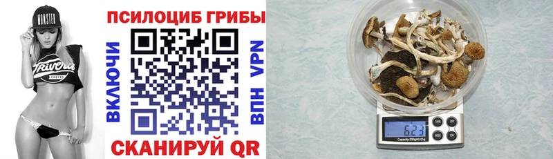 Псилоцибиновые грибы ЛСД  гидра   Лабытнанги  цена наркотик 